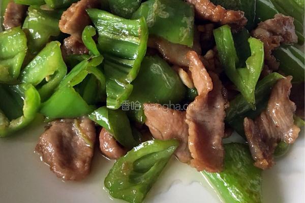 青椒丝片的做法图解8