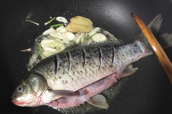 鲫鱼炖豆腐的做法图解5