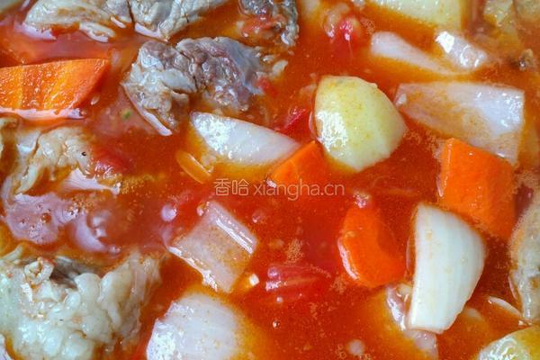 番茄牛肉的做法图解4