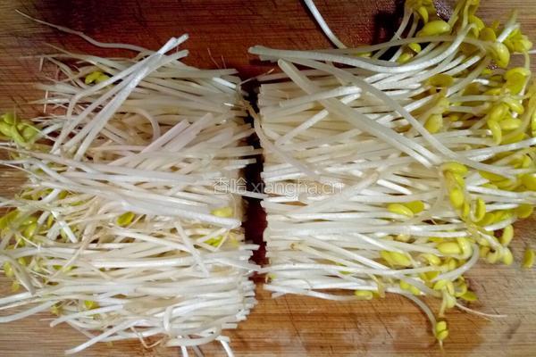 炒黄豆芽的做法图解2