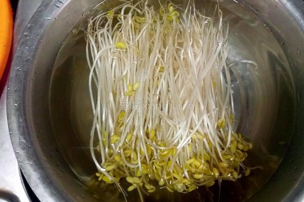 炒黄豆芽的做法图解1