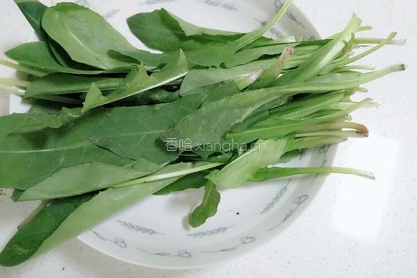蒲公英煎饼的做法图解2