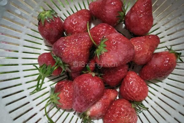白糖草莓的做法图解3