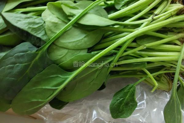 凉拌蒜末菠菜的做法图解1