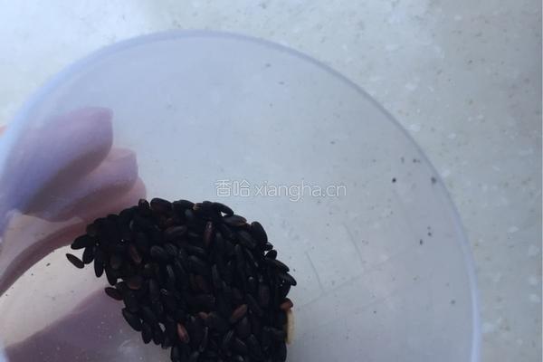奶香米糊的做法图解4