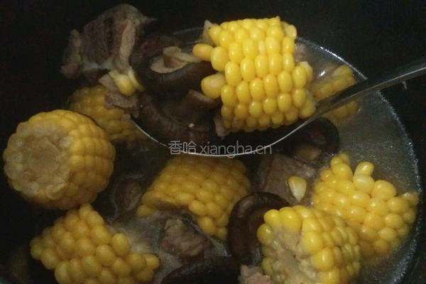 香菇玉米排骨汤