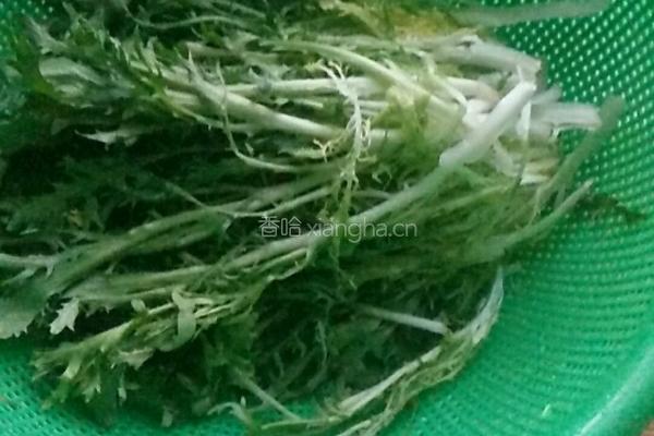 凉拌苦菊的做法图解1