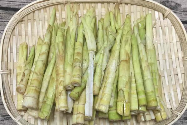 风味卤笋的做法图解2
