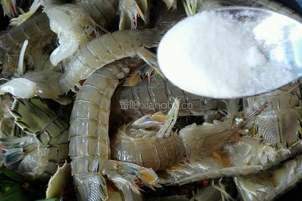 清煮皮皮虾的做法图解5