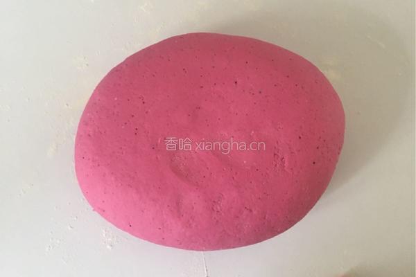 香菇猪肉馅火龙果饺子的做法图解5