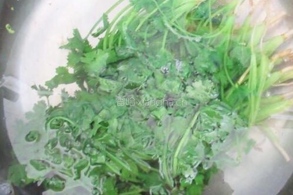 保存香菜方法的做法图解5