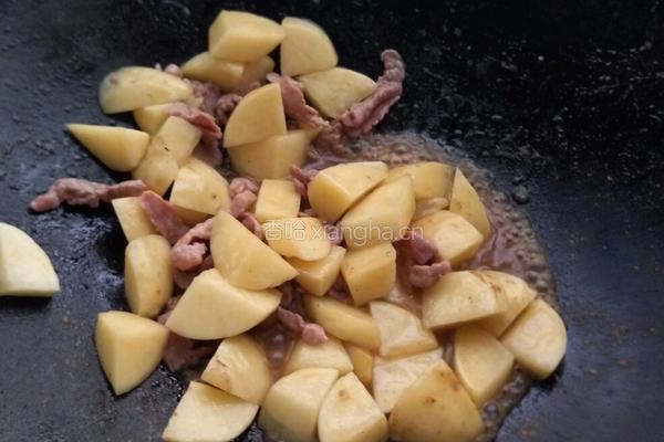 土豆块炖肉的做法图解10