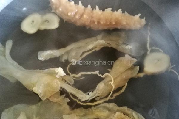 养生汤(海参花胶虫草花)的做法图解2