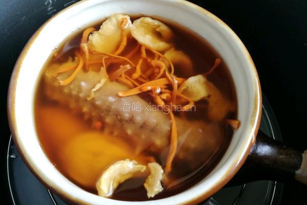 养生汤(海参花胶虫草花)的做法图解4