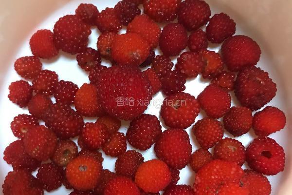 山莓之恋的做法图解6