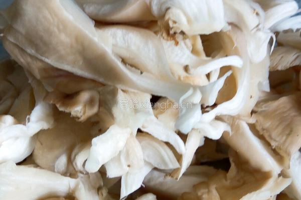鲜蘑肉片的做法图解6