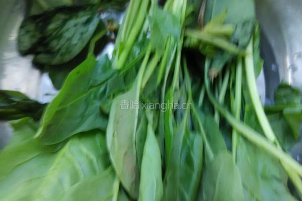 菠菜鸡蛋汤的做法图解1