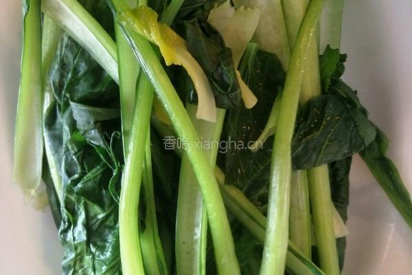 广东菜心的做法图解5