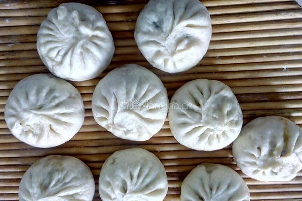荠菜包子的做法图解5