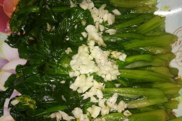 简单的水煮菜心的做法图解5