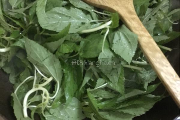 豆酱炒麻叶的做法图解6