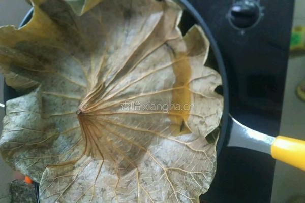 荷叶饭的做法图解4