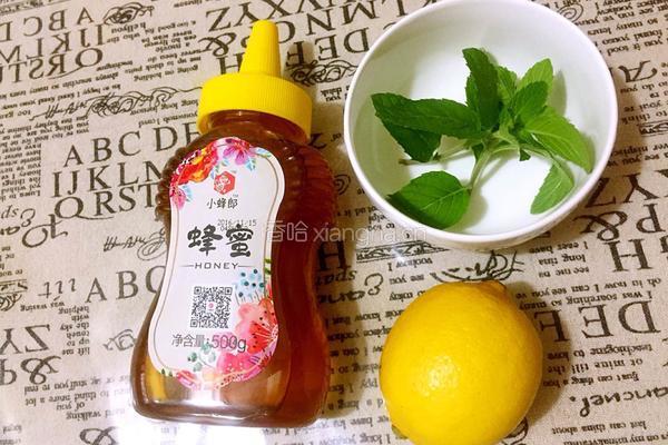 柠檬薄荷饮的做法图解1