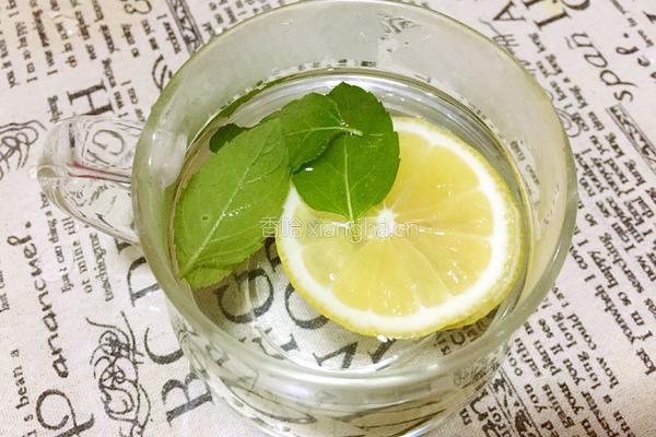 柠檬薄荷饮的做法图解6