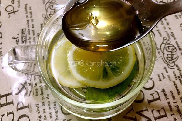 柠檬薄荷饮的做法图解7