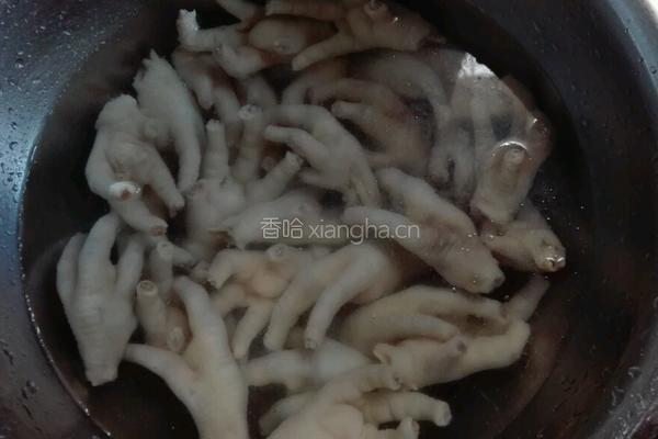 凉拌开胃凤爪的做法图解4