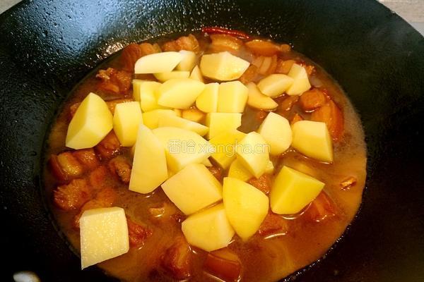 土豆红烧肉的做法图解9