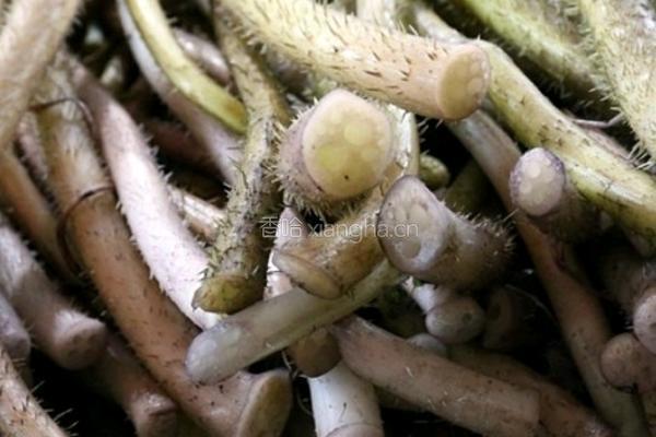 炒糖醋芡实茎的做法图解1