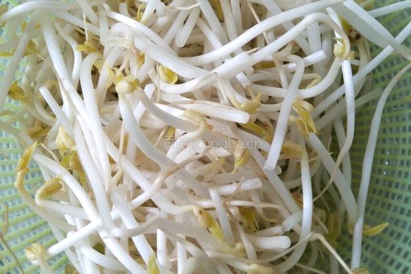 炒青椒绿豆芽的做法图解1