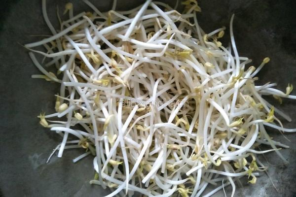 炒青椒绿豆芽的做法图解5