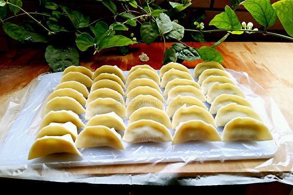 水饺（制作方法）的做法图解15