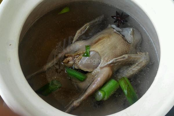 鸽子汤的做法图解8