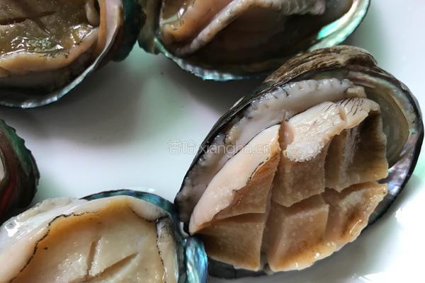 清蒸鲍鱼的做法图解4