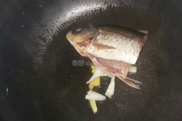 超简单的豆腐鲫鱼汤的做法图解4