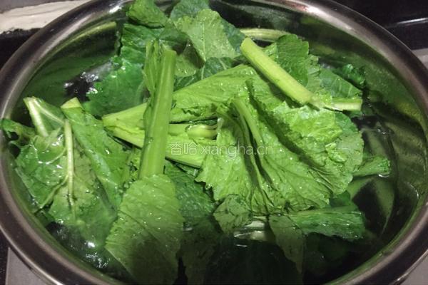 盐水春菜的做法图解6