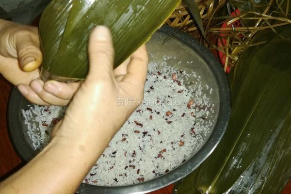 原味山泉水粽子的做法图解4