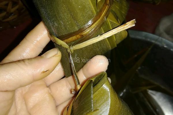 原味山泉水粽子的做法图解15