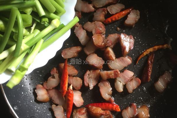蒜苔腊肉的做法图解4