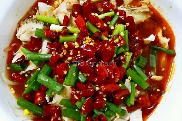 麻辣水煮鱼片的做法图解13