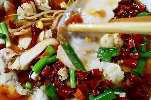 麻辣水煮鱼片的做法图解16