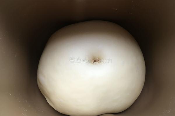 蔓越莓土司（食用油版）的做法图解4