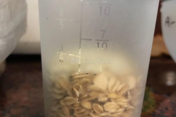 燕麦豆浆的做法图解2