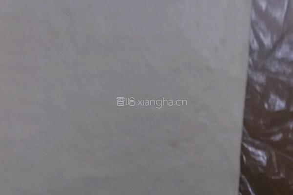 蝴蝶酥(黄油不用裹在面粉里)的做法图解10