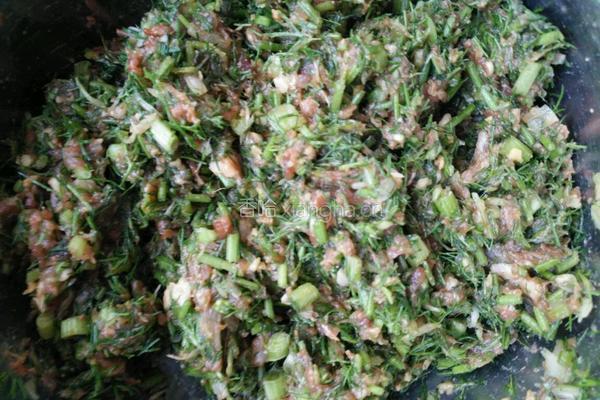 茴香猪肉饺子馅的做法图解8