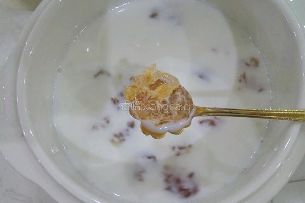 桃胶炖牛奶的做法图解4