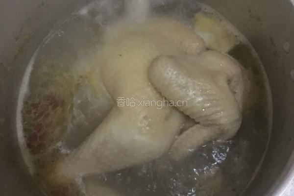 口水鸡的做法图解2